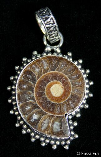 Ammonite Pendant #2687